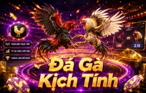 Giao diện Đá Gà m24management
